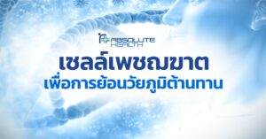Natural Killer Cell