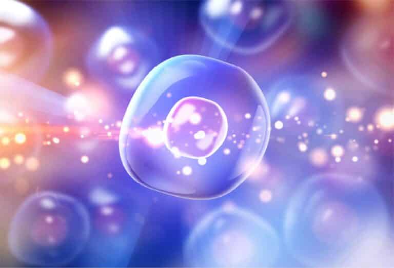 alpha lipoic acid 04