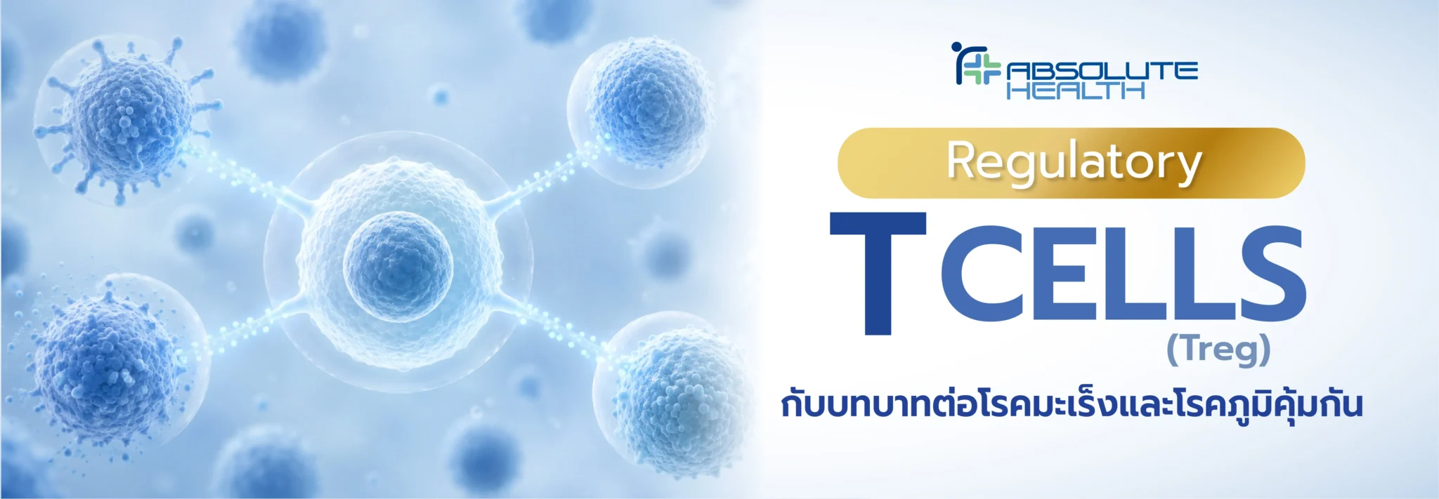 Homepage Banner 4
