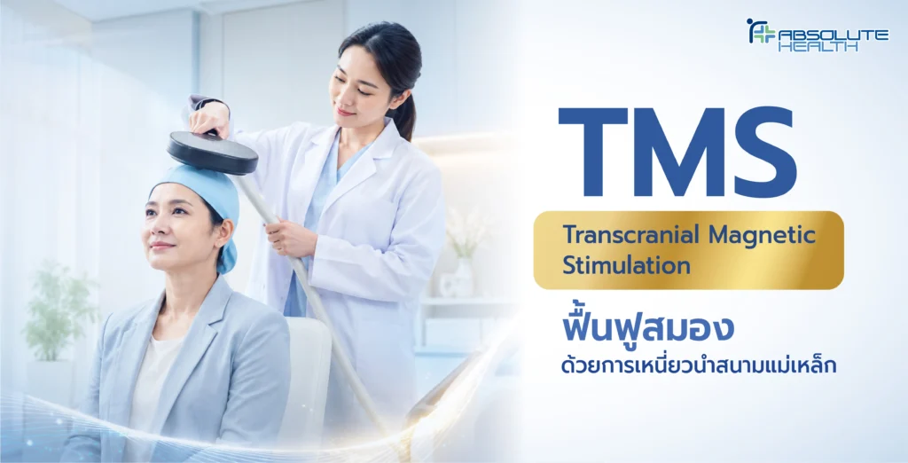 TMS Banner TMS AH 01